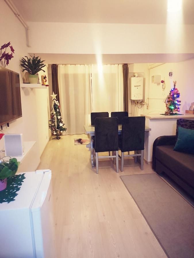 Studio Adela Brassópojána Kültér fotó