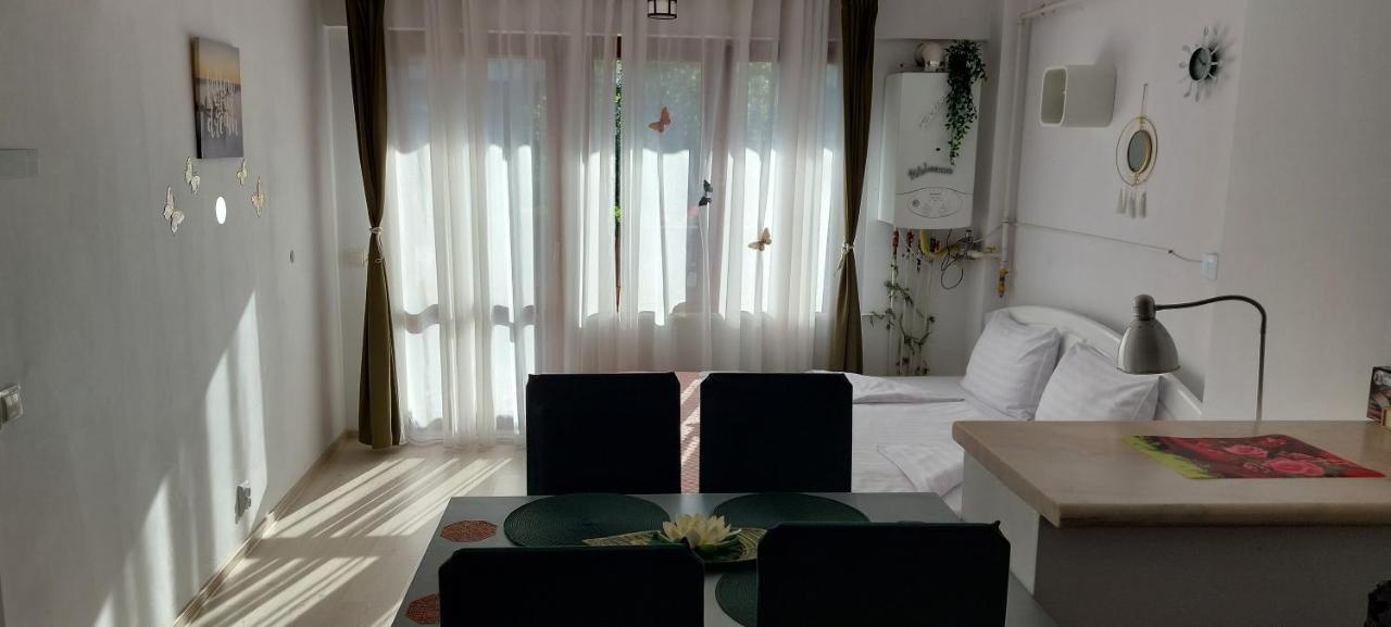 Studio Adela Brassópojána Kültér fotó